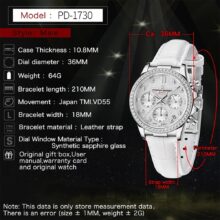 Montre Pagani Design Élégance quartz verre saphir – Image 9